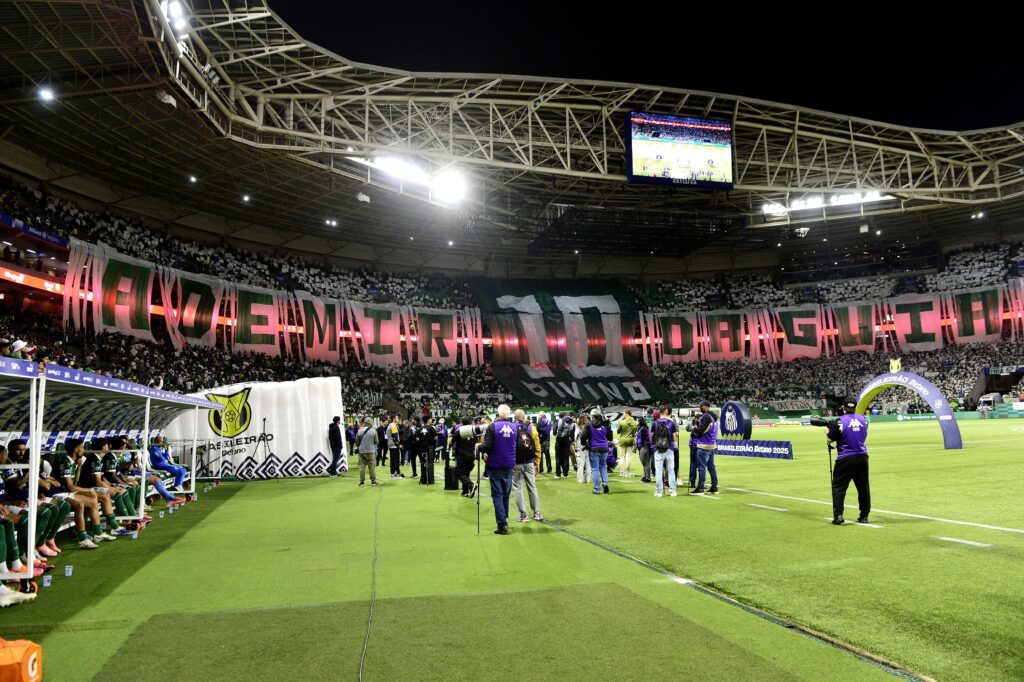 1 de 2 Torcida do Palmeiras faz homenagem para Ademir da Guia — Foto: Marcos Ribolli