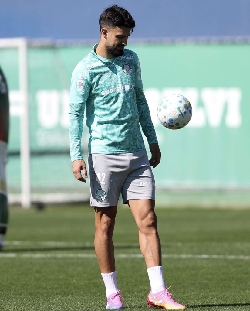 Palmeiras encara o Vitória nessa quarta feira em mais uma rodada do campeonato brasileiro